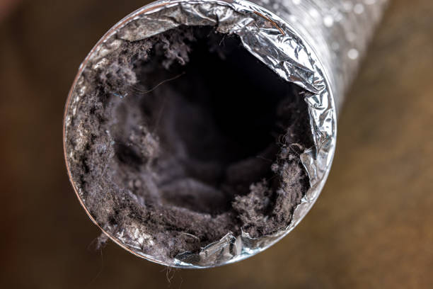 Best Affordable Duct Cleaning Services  in Penn Wynne, PA