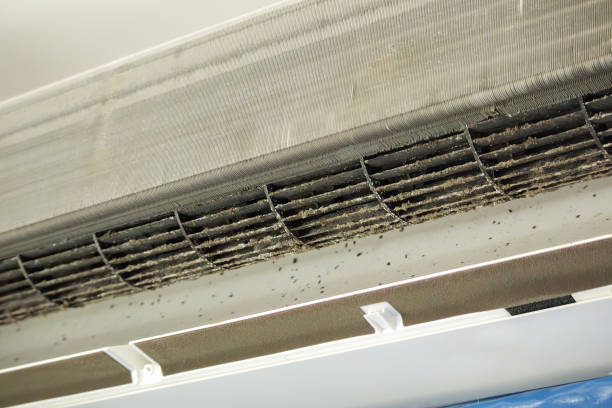 Best Local Air Duct Cleaning Services  in Penn Wynne, PA